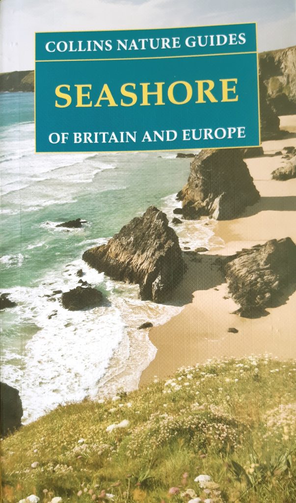 seashore of britain and europe book cover