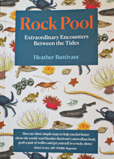 rock pool heather buttivant