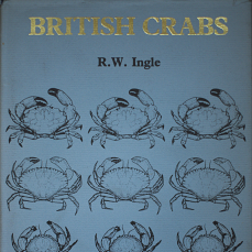 british crabs ingle 1980