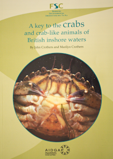 key to crabs