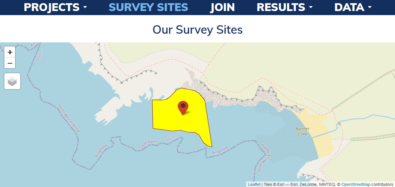 rockpool project ayrmer cove