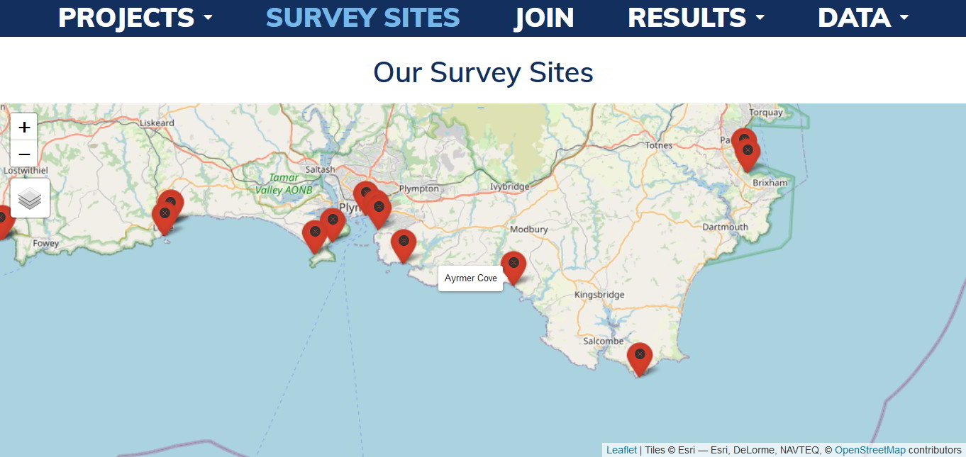 rockpool project survey sites