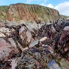 ayrmer cove